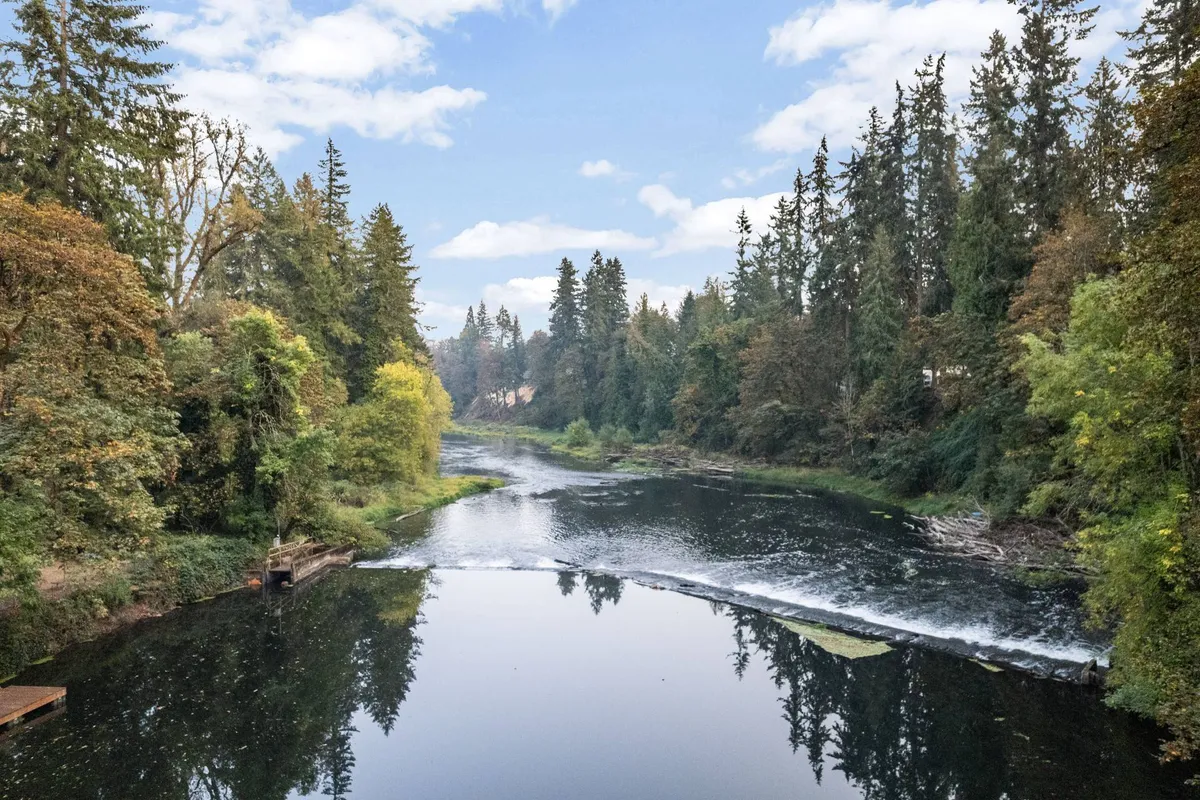 A serene view of the river framed by lush green trees and mirrored reflections on the calm water. The natural surroundings evoke a peaceful atmosphere, ideal for moments of relaxation or taking a break from work to recharge.